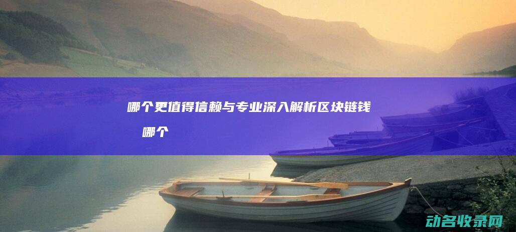 哪个更值得信赖与专业深入解析钱包哪个