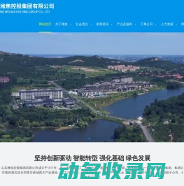 山东潍焦控股集团有限公司